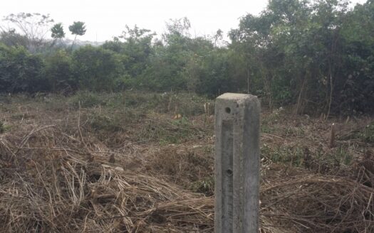 33 Acres for sale at Agbara, Ogun state