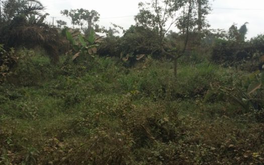 33 Acres for sale at Agbara, Ogun state