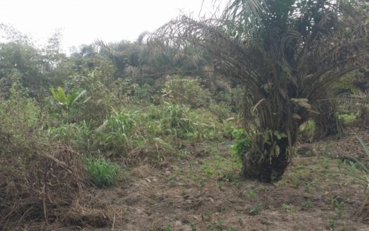 33 Acres for sale at Agbara, Ogun state