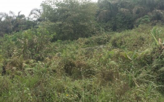 33 Acres for sale at Agbara, Ogun state